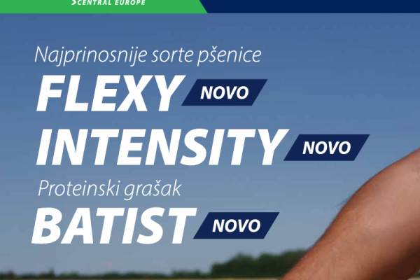 Screenshot 2025 10 01 094637